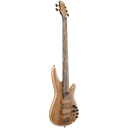 IV1SR Ibanez
