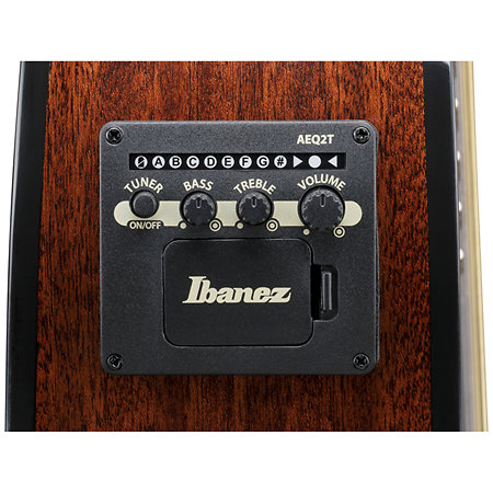 AEWC16QA-TKH Transparent Black Sunburst Ibanez