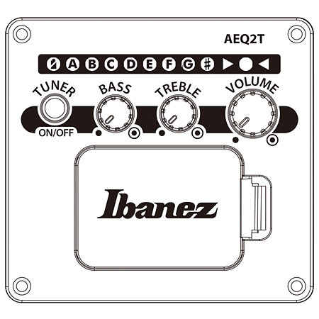 AEWC16QA-TKH Transparent Black Sunburst Ibanez