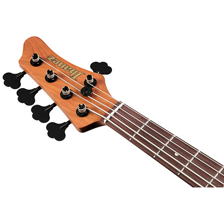 MDM1605 Natural Mocha Low Gloss + Housse Ibanez