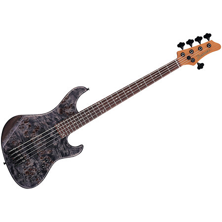 MDM1605 Deep Twilight + Housse Ibanez