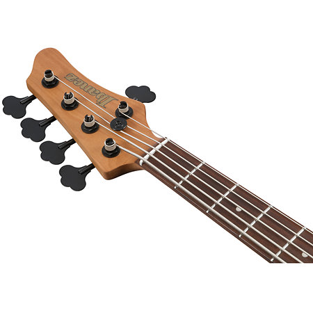 MDM1605 Deep Twilight + Housse Ibanez