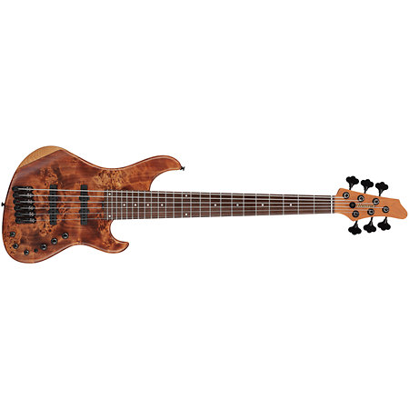 MDM1606 Natural Mocha Low Gloss + Housse Ibanez