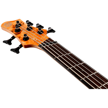 BTB805MS Florid Natural Low Gloss + Etui Ibanez