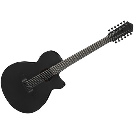Ibanez AEG1221-BOT Black Out 12 Strings