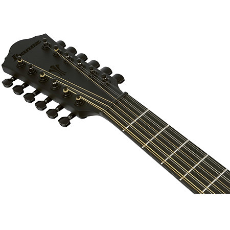 AEG1221-BOT Black Out 12 Strings Ibanez