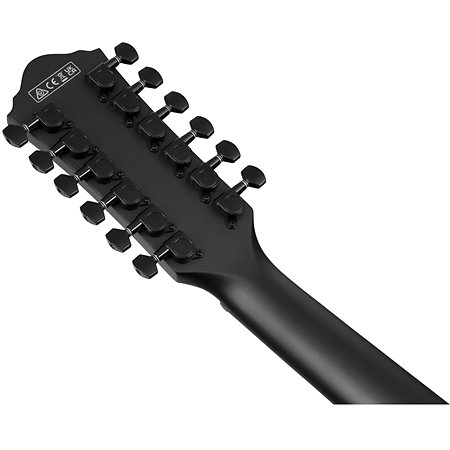 AEG1221-BOT Black Out 12 Strings Ibanez