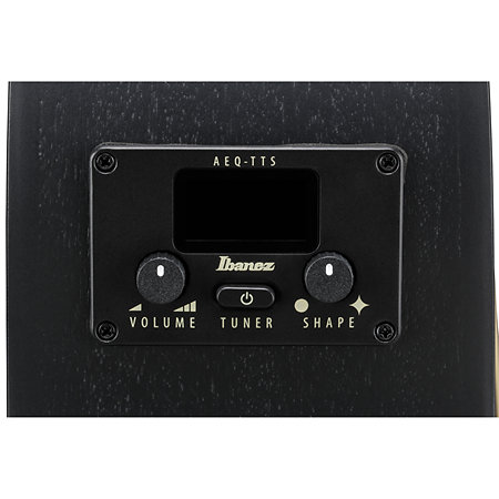 AEG1221-BOT Black Out 12 Strings Ibanez