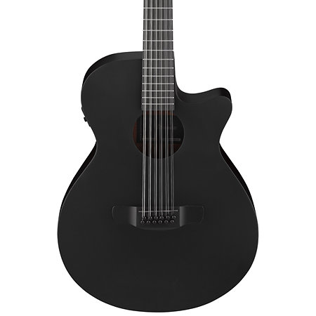 AEG1221-BOT Black Out 12 Strings Ibanez