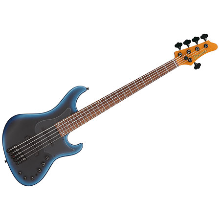 MDM1005 Midnight Arctic Ocean Matte + Housse Ibanez
