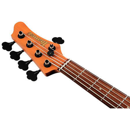 MDM1005 Midnight Arctic Ocean Matte + Housse Ibanez