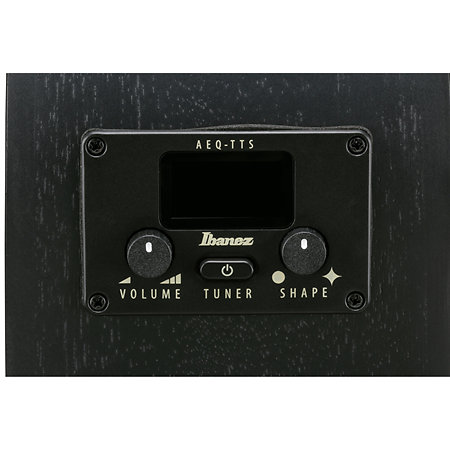 AEG621-BOT Black Out 6 Strings Ibanez