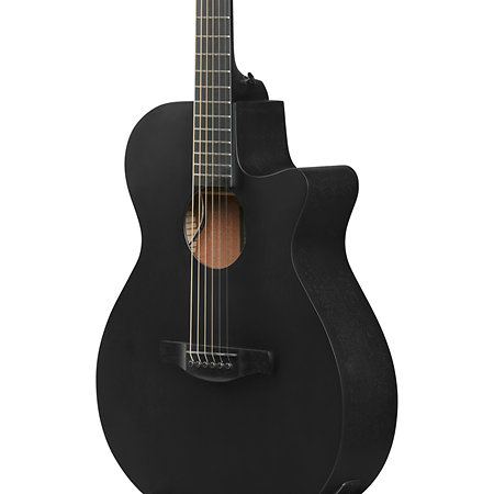 AEG621-BOT Black Out 6 Strings Ibanez