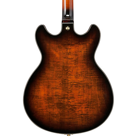 ASH300 TBC Ibanez