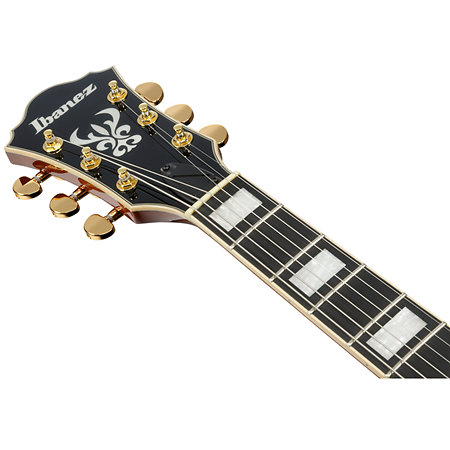 Ibanez AG95MG DA