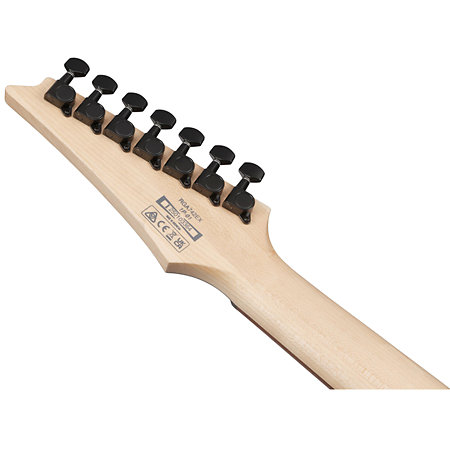 RGA742EX BAM Ibanez