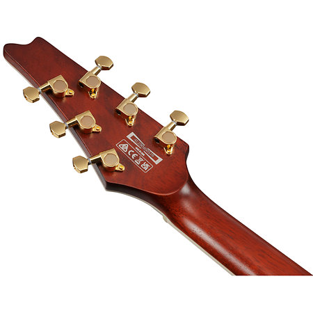 IC420MFM-CML Caramel Burst Low Gloss + Housse Ibanez