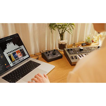 MicroAUDIO 22 Korg