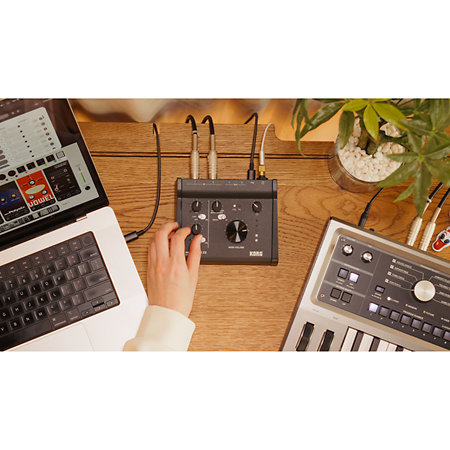 MicroAUDIO 22 Korg