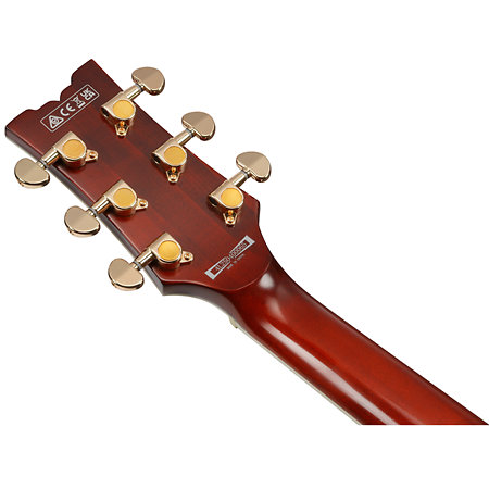 AR625FMSP CML Ibanez