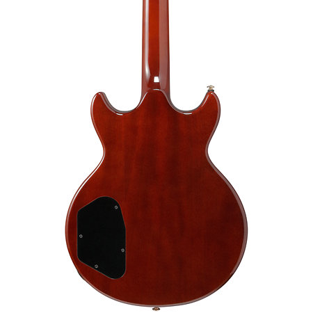 AR520HME Natural Ibanez