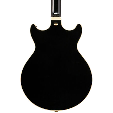 AM73G Black Ibanez