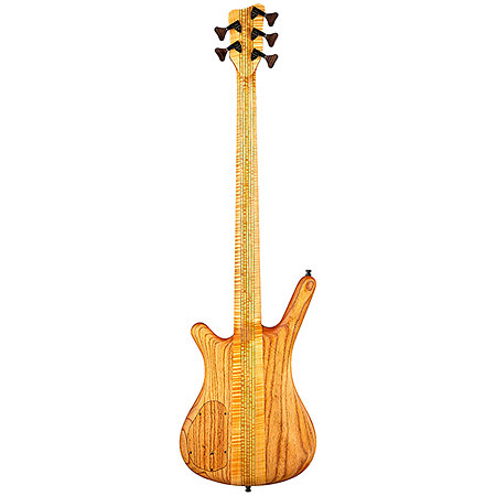 Masterbuilt Corvette SS 5 LTD 2023 Warwick