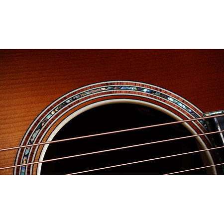 914e Gold Label SB Sunburst Taylor