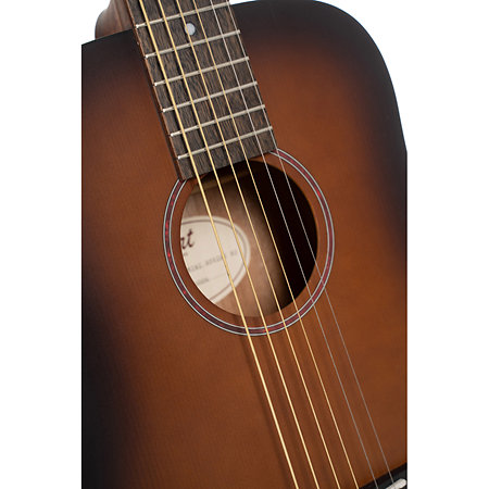Earth Go Hyvibe Brown Burst + Housse Cort