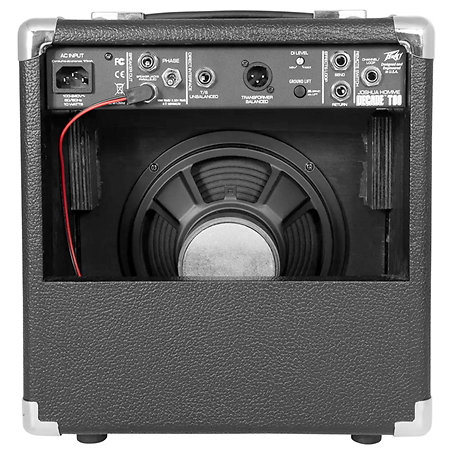 Decade Too Josh Homme Signature Peavey