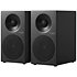 Spectrum II X4 Black (la paire) Tangent