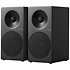 Spectrum II X5 Black (la paire) Tangent