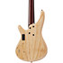 IV1SR Ibanez