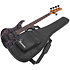 MDM1605 Deep Twilight + Housse Ibanez