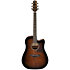 AAD51CE-DVS Dark Violin Sunburst Ibanez