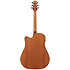 AAD51CE-DVS Dark Violin Sunburst Ibanez