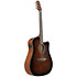 AAD51CE-DVS Dark Violin Sunburst Ibanez
