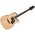 AAD51CE-NT Natural High Gloss Ibanez