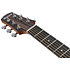 AAD51CE-NT Natural High Gloss Ibanez