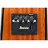 AAD51CE-NT Natural High Gloss Ibanez