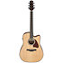 AAD51CE-NT Natural High Gloss Ibanez