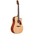AAD51CE-NT Natural High Gloss Ibanez