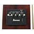 ALT50FA-BDB Alstar Blue Doom Burst High Gloss Ibanez