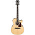 AC390CE-NT Natural High Gloss Ibanez