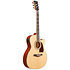 AC390CE-NT Natural High Gloss Ibanez