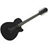 AEG1221-BOT Black Out 12 Strings Ibanez