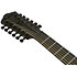 AEG1221-BOT Black Out 12 Strings Ibanez
