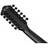 AEG1221-BOT Black Out 12 Strings Ibanez