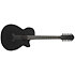 AEG1221-BOT Black Out 12 Strings Ibanez