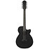 AEG1221-BOT Black Out 12 Strings Ibanez